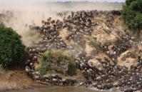 Serengeti Park Safaris image 3